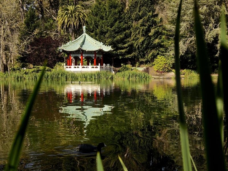 japanese garden in sf