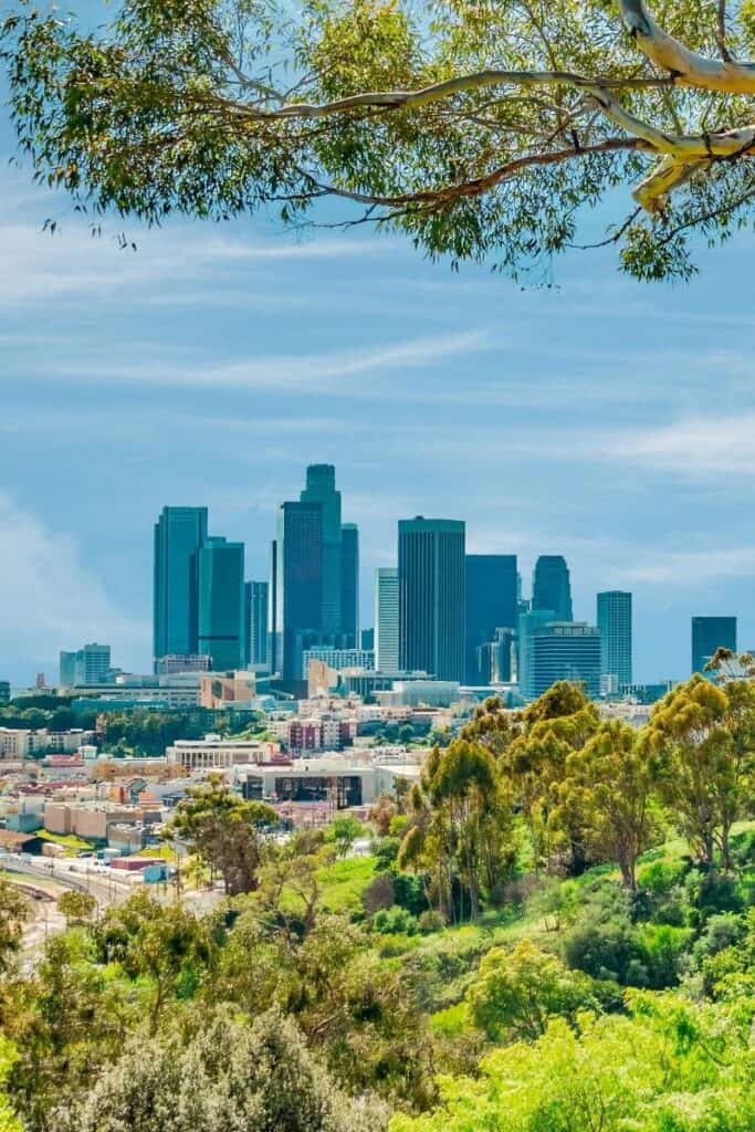 Los Angeles skyline as seen from a hill with lush green plant life framing the photo.