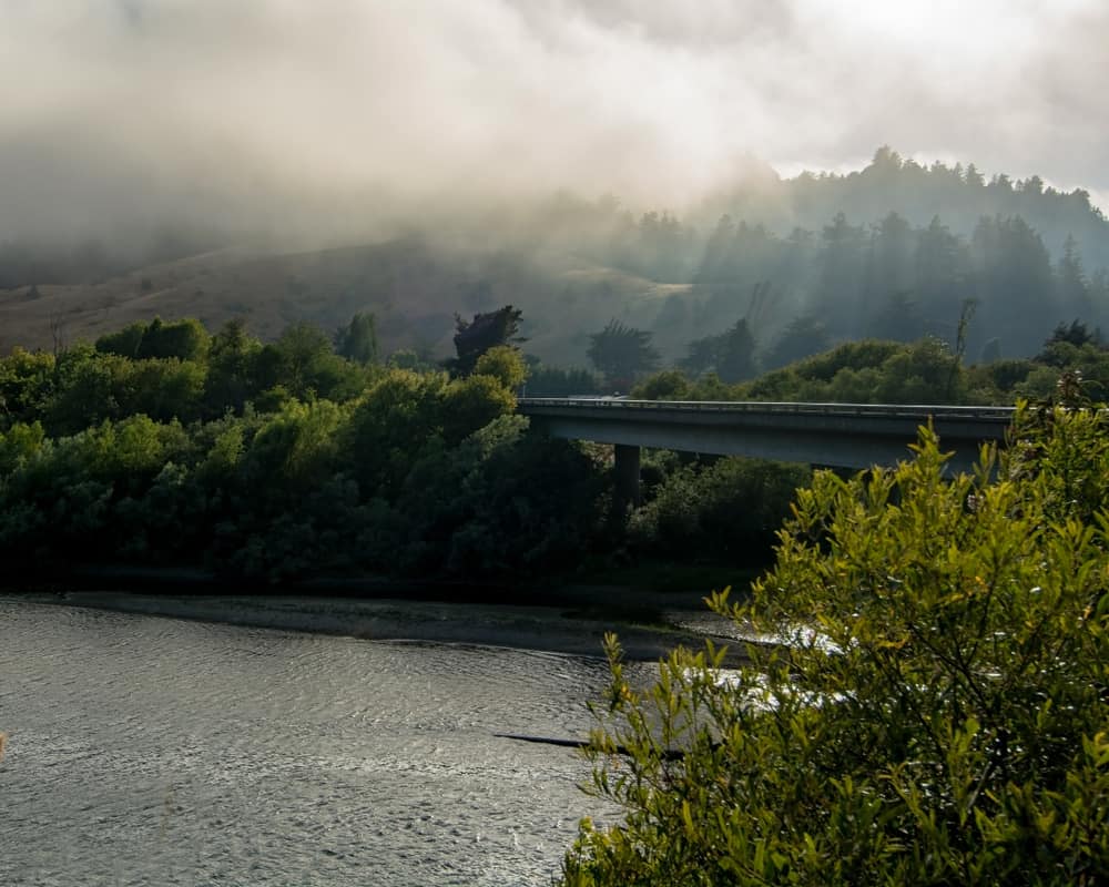 Foggy weather and Russian river in background with green trees on river banks