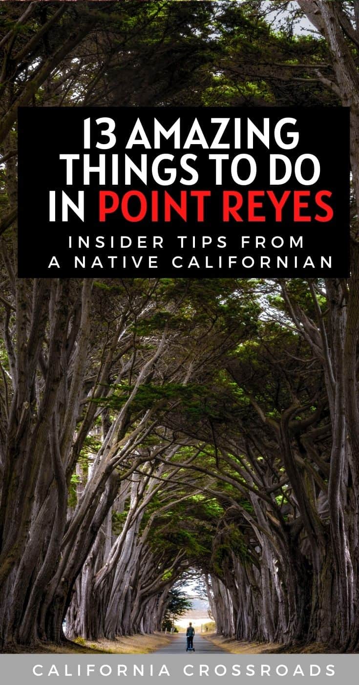 Point Reyes Guidebook 13 Things to Do in Point Reyes: Complete Travel Guide + Tips ...