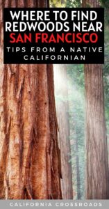 11 Best Redwoods Near San Francisco - California Crossroads