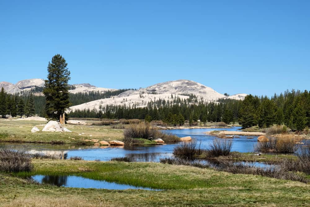 Meadow with pond and slow-moving creek or river with grass, trees, and small hills.