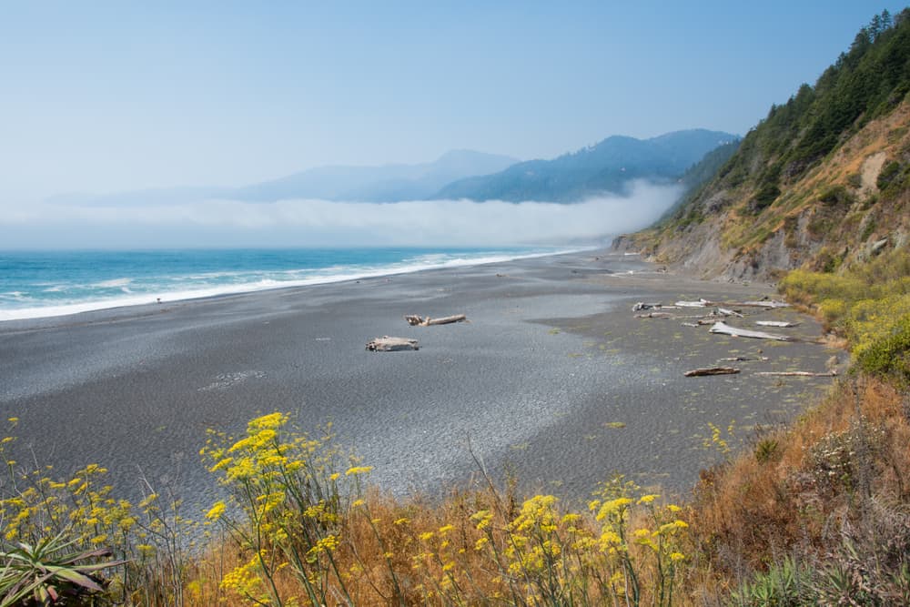 the beach at shelter cove with black sand