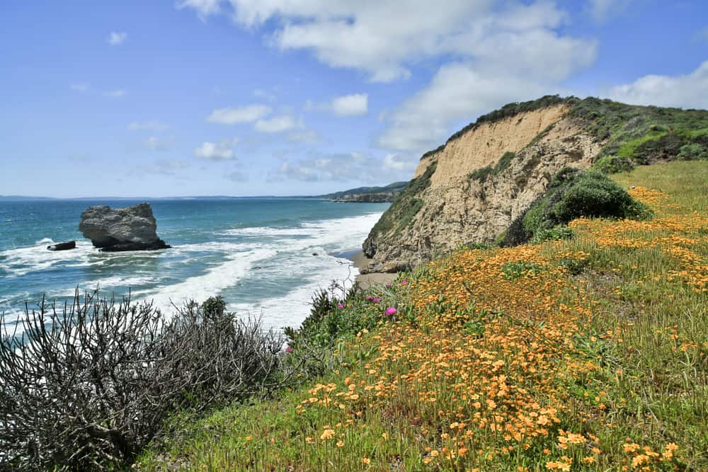 13 Things to Do in Point Reyes: Complete Travel Guide + Tips ...