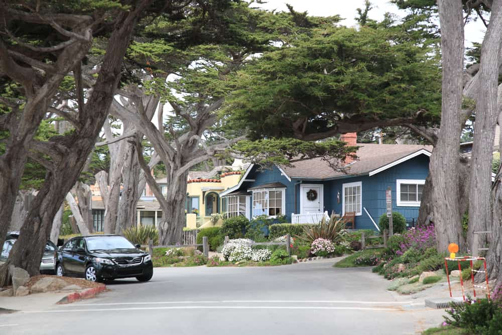 Houses of Carmel surrounded by cypress trees