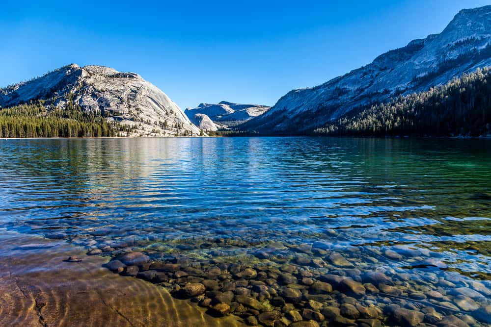 beautiful crystalline waters of turquoise tenaya lake in yosemite, with pebbles visible through the clear water