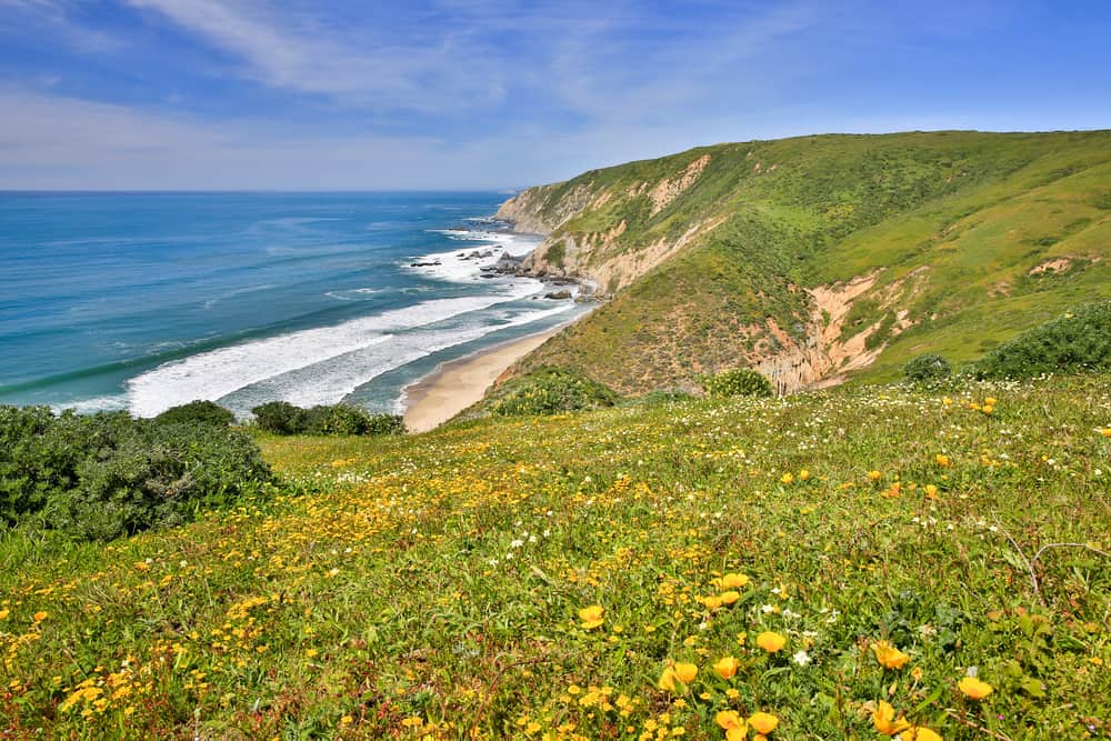 Prettiest Part of California's Pacific Coast Highway