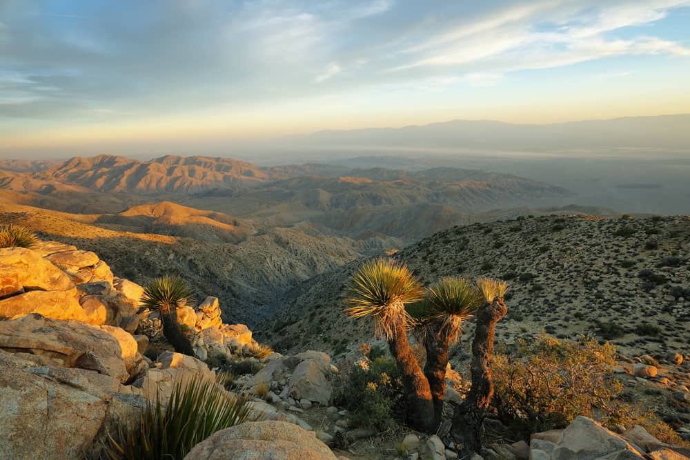 Best Things to Do in Joshua Tree National Park: Guide + Insider Tips ...