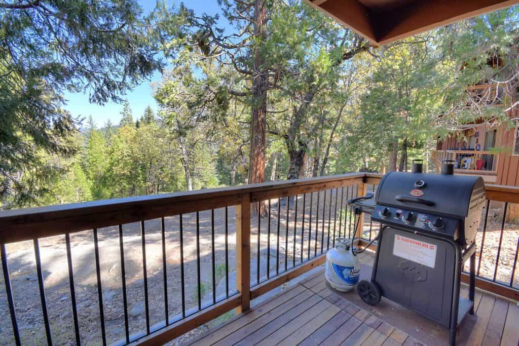 Patio with trees and propane grill