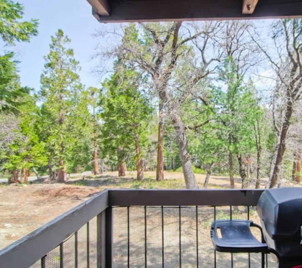 Patio with BBQ and lots of trees in background