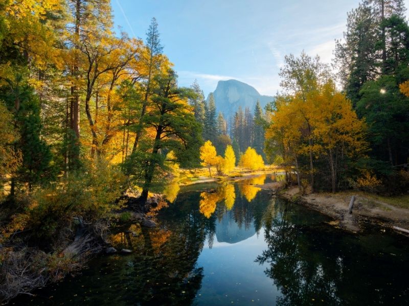 View of the foliage of Yosemite in fall with half dome in the distance on the Merced River