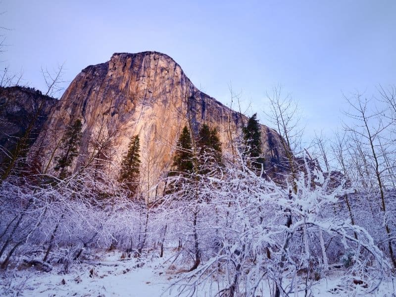 Icy barren trees covered in snow with reddish-brownish granite cliff face in background against a dark gray overcast sky.