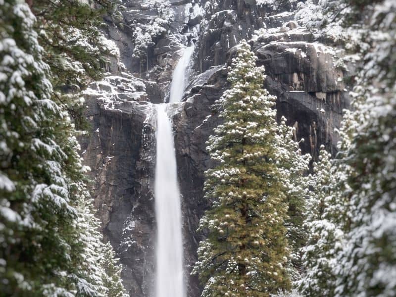 Zoomed in photo of the cascades of Yosemite Falls with pine trees and granite rock covered in snow. Waterfall flowing heavily.