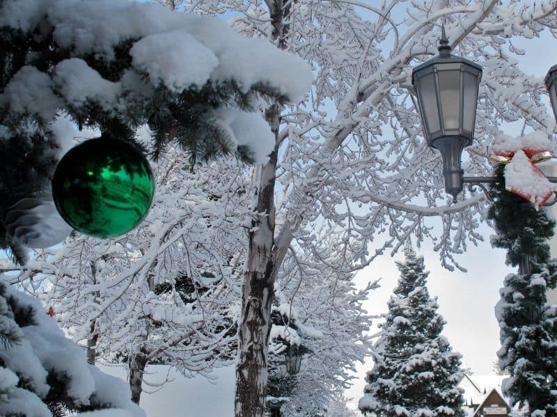 Close up of green ornament on tree and street lights as well as trees covered in snow in Big Bear Village in winter