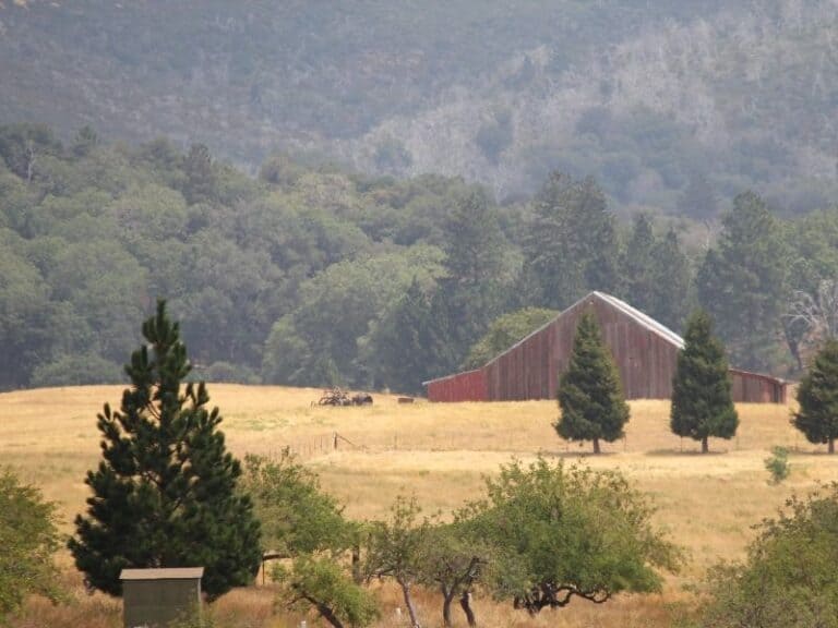 12 Joyful Things to Do in Julian, CA on a Weekend Trip California