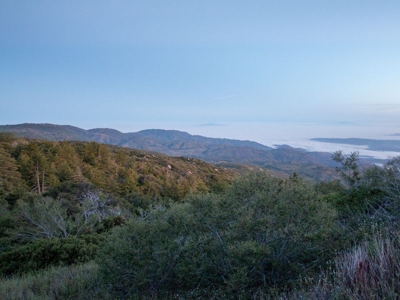 Sky at dusk. Coastline off in the distance with mountains edging the photo and some brush in foreground.