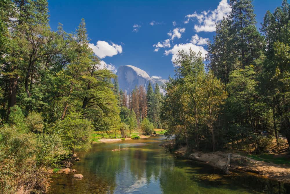 The granite face of Half Dome peaking between trees on two sides of the river with a faint reflection of the rock in the water.