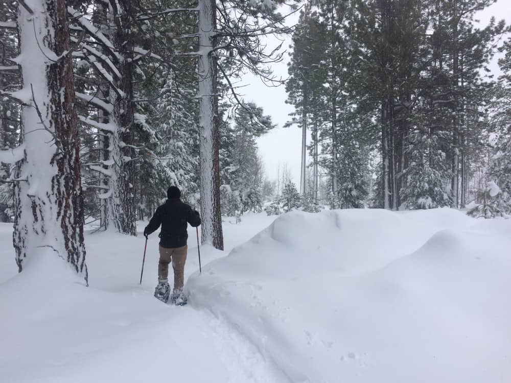 Man snowshoeing through a winter landscape with snow-covered trees.