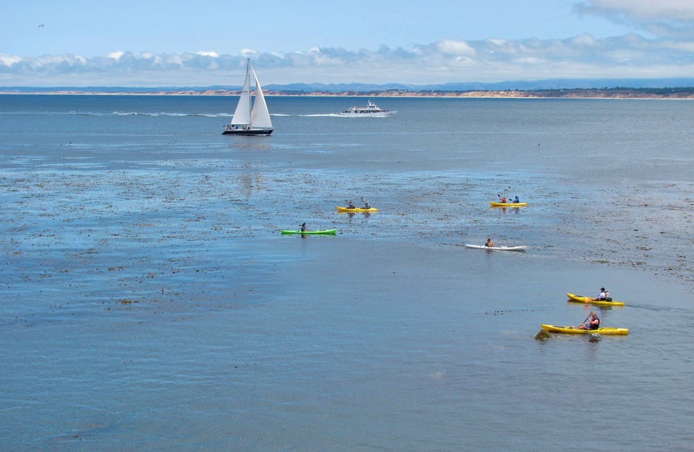 Six kayakers in yellow and green kayaks, one sailboat, and one speedboat out in the water in Santa Barbara