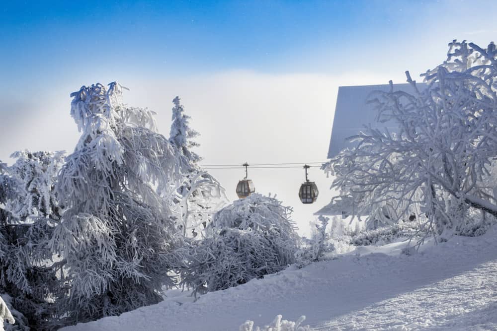 Winter scene of a gondola with lots of snow on the ground and ice and snow covered white trees with a blue sky in background. Taking people up to the top of Mammoth Mountain from Mammoth Lakes in winter.