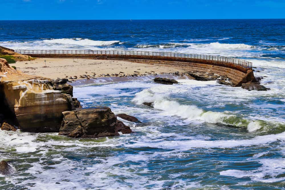 Cove with rough blue sea and sea lions on beach in the background.