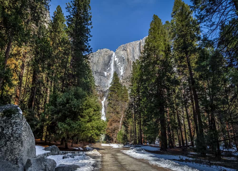 Path leading to Lower Yosemite Falls trail with some snowfall on the sides of the trail with green trees, tall waterfall in distance, and a cloudless blue sky.