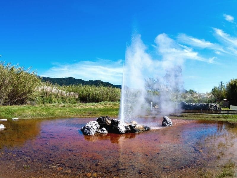 a geyser amidst an iron-colored spring on a sunny day in calistoga