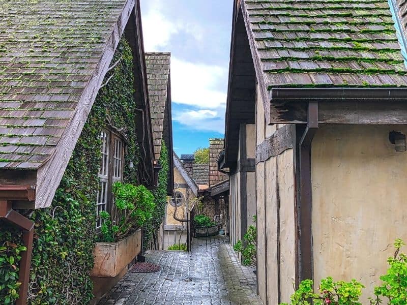 european style architecture covered in vines in carmel by the sea a cute small town on california's central coast