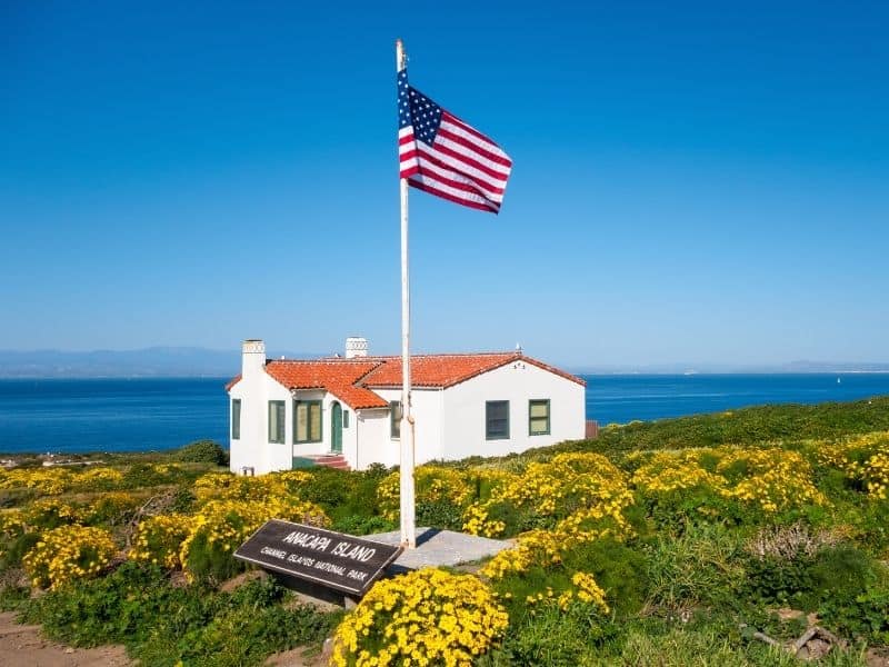 An American flag in foreground with yellow flowers and a small white house with a orange roof looking onto the Pacific Ocean and other islands in the Channel Islands archipelago.