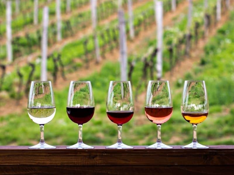 A view of five wine glasses holding white, rose, and red wine tasting portions with a bokeh blur of vineyards in the background.