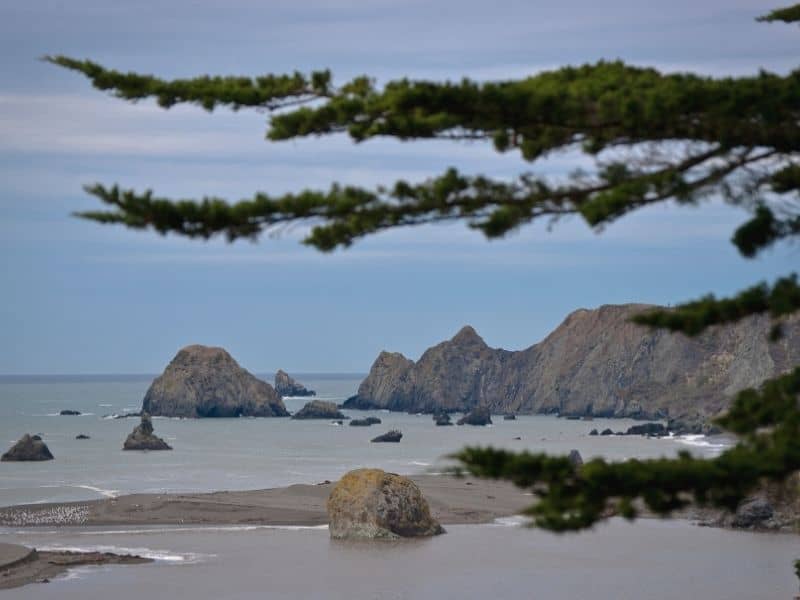 the coastline of sonoma at jenner