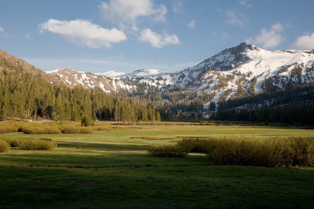 Meadows near Kirkland make for an easy hike in Lake Tahoe. Grass, pine trees, and snow-covered peaks in the distance.