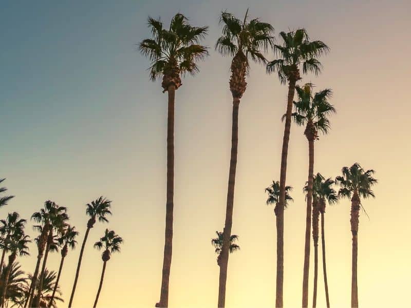 The 40 Best Instagram Spots in LA: Photography Guide - California ...