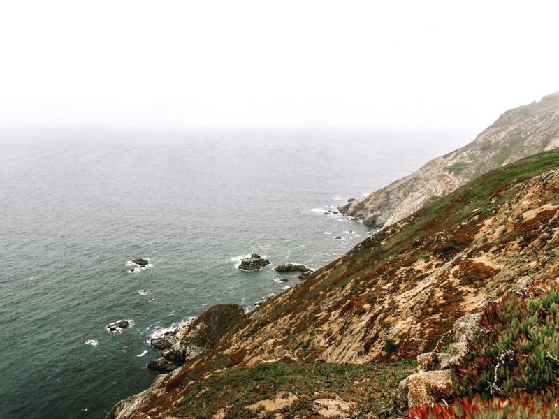 The rocky, foggy cliff edge with wild brush and grass in Point Reyes California, a must visit on a Northern California road trip