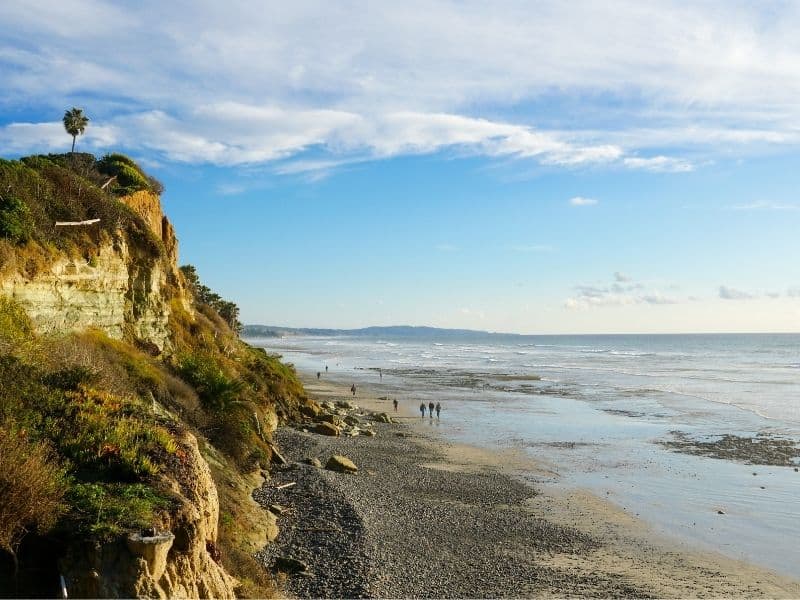 A cliff with a single palm tree on one side, a beach with pebbles and sand and a few people walking on the other side of the photo.