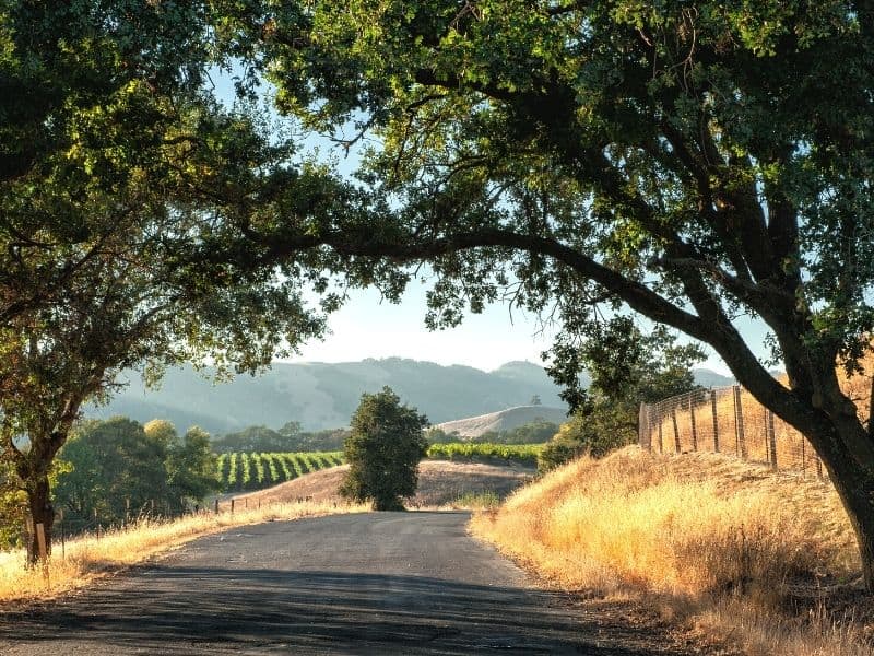 rustic landscapes in sonoma county california