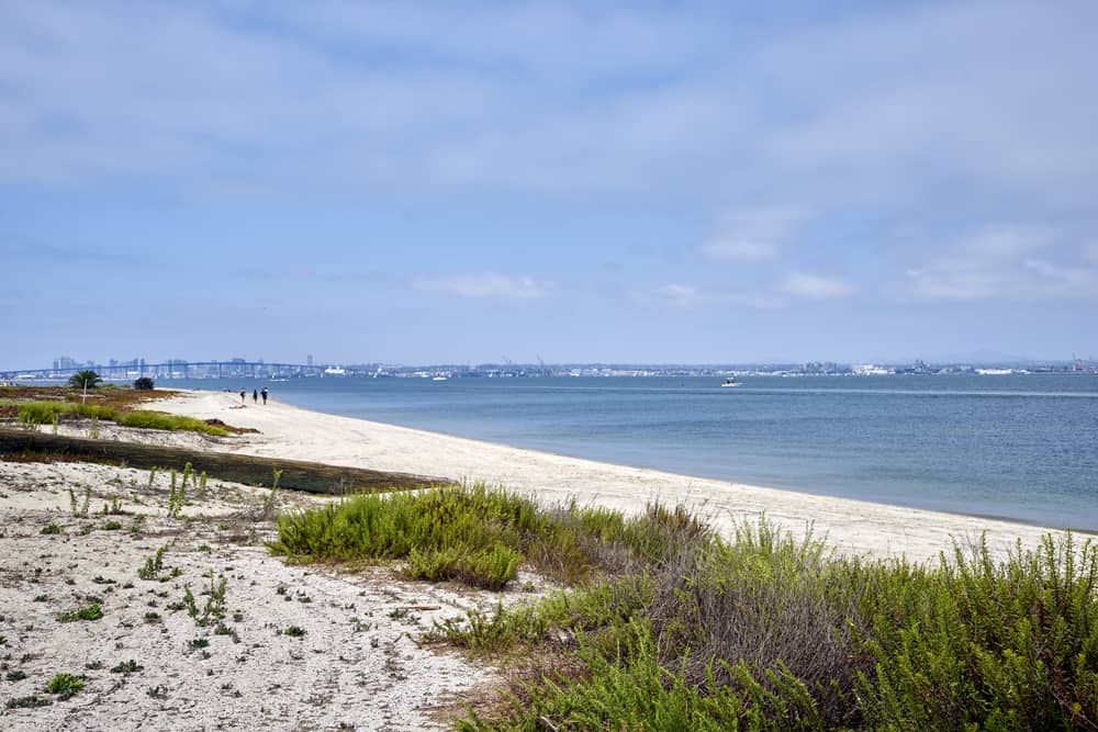 The sandy beach at Silver Strand State Park, an RV campground in San Diego. View of the water, beach shrubs and brush, three people walking very fair away in the distance, and a distant cityscape.
