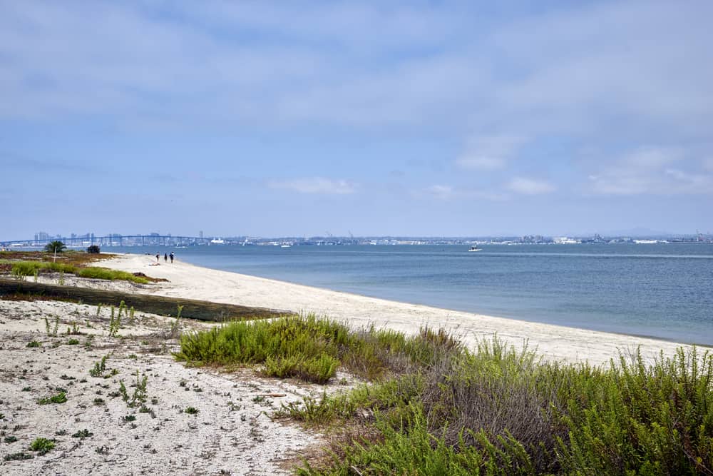 A partly cloudy day on Silver Strand with a view of San Diego's skyline way off in the background and some wild brush in the foreground.