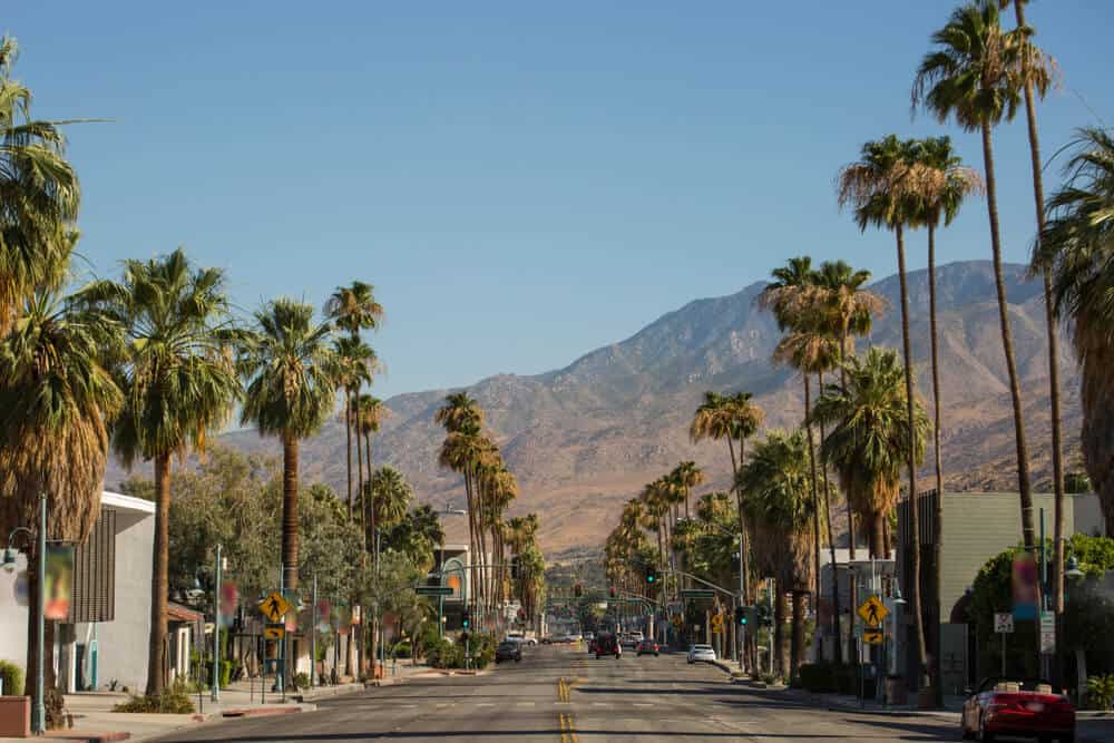 A view of the mountains with palm trees lining the street on a blue sky day in Palm Springs, a favorite road trip from Los Angeles