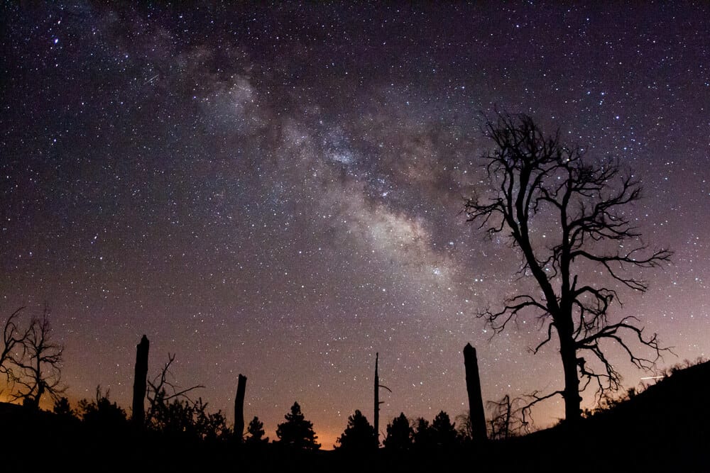 Milky way seen from above the spot where people are camping near San Diego, silhouette of trees in the landscape