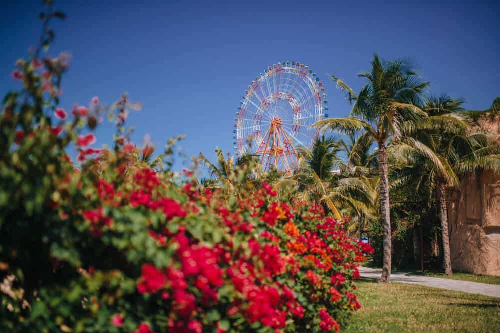 A bush full of pink flowers in a park, with palm trees and a pink and white giant Ferris wheel in the distance on a blue sky day in Anaheim, a popular LA weekend getaway