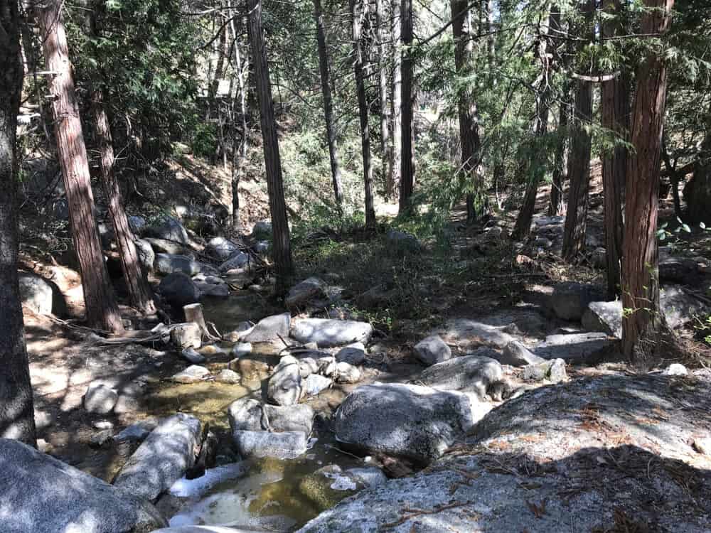 Rocky landscape with a small creek, surrounded by lots of evergreen trees in the mountains at this popular Southern California camping spot