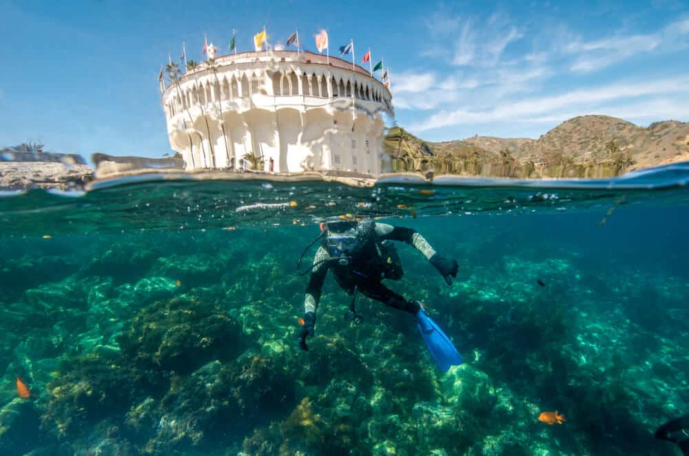 Scuba diver in the turquoise water beneath the Avalon casino in Catalina, a wonderful day trip from Newport Beach