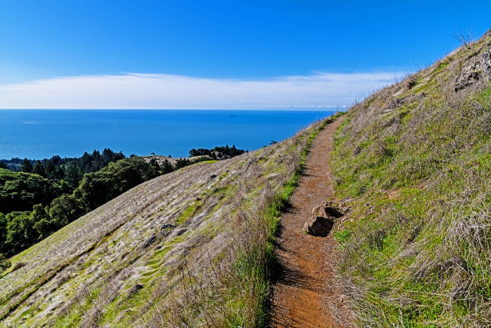 The brilliant blue water of the Pacific Ocean with fog on the horizon, on a clear day at Mount Tam State Park, hiking on a hillside trail.