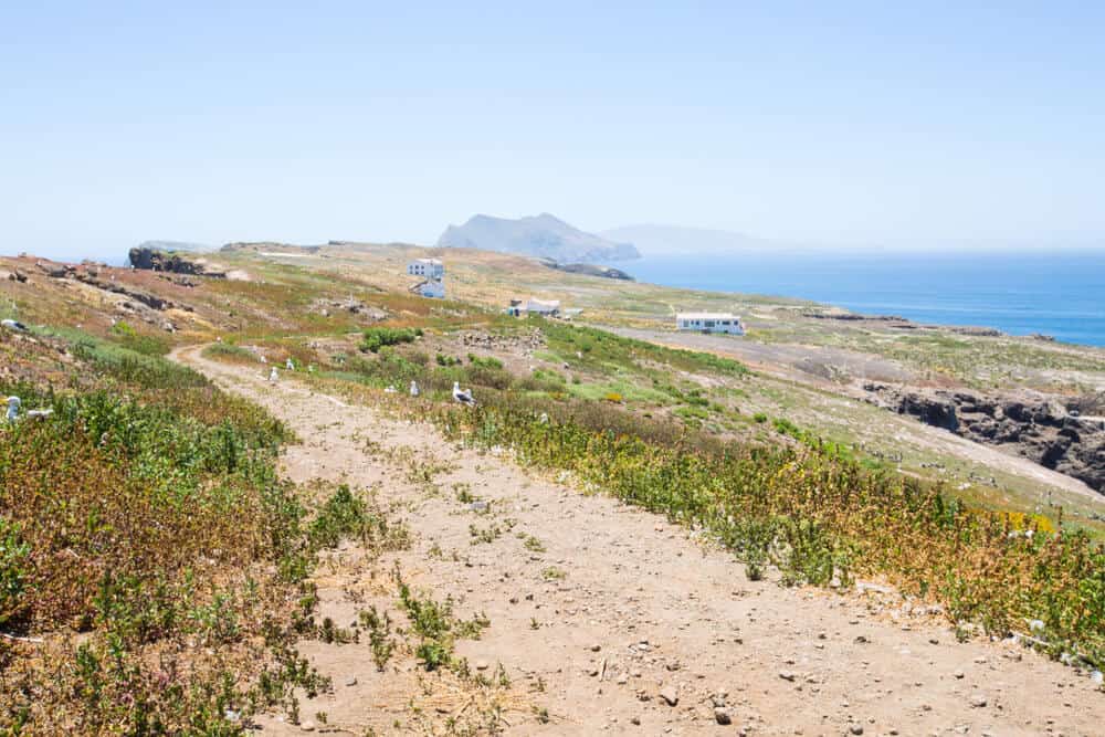 Sandy hiking trail on Anacapa Island in Channel Islands National Park leading to the visitor center on the island.