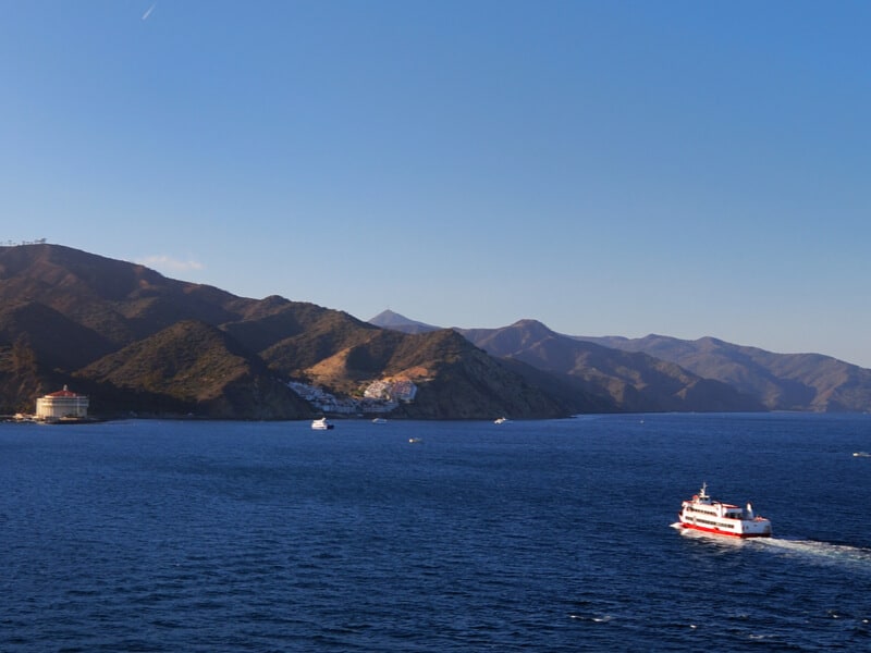 Red and white ferry heading straight towards the island of Catalina with a blue sky and the distinctive white round Avalon casino visible on the shoreline.