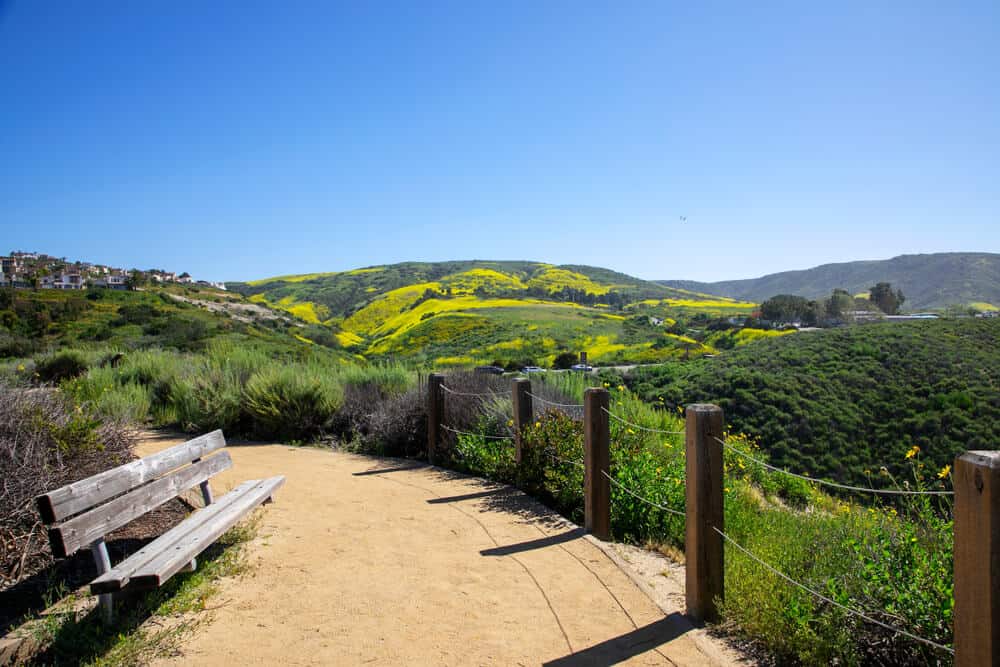 A wooden bench on the hiking trail in the hills of Crystal Cover State Park in the spring, shown by the yellow mustard fields in the distance.