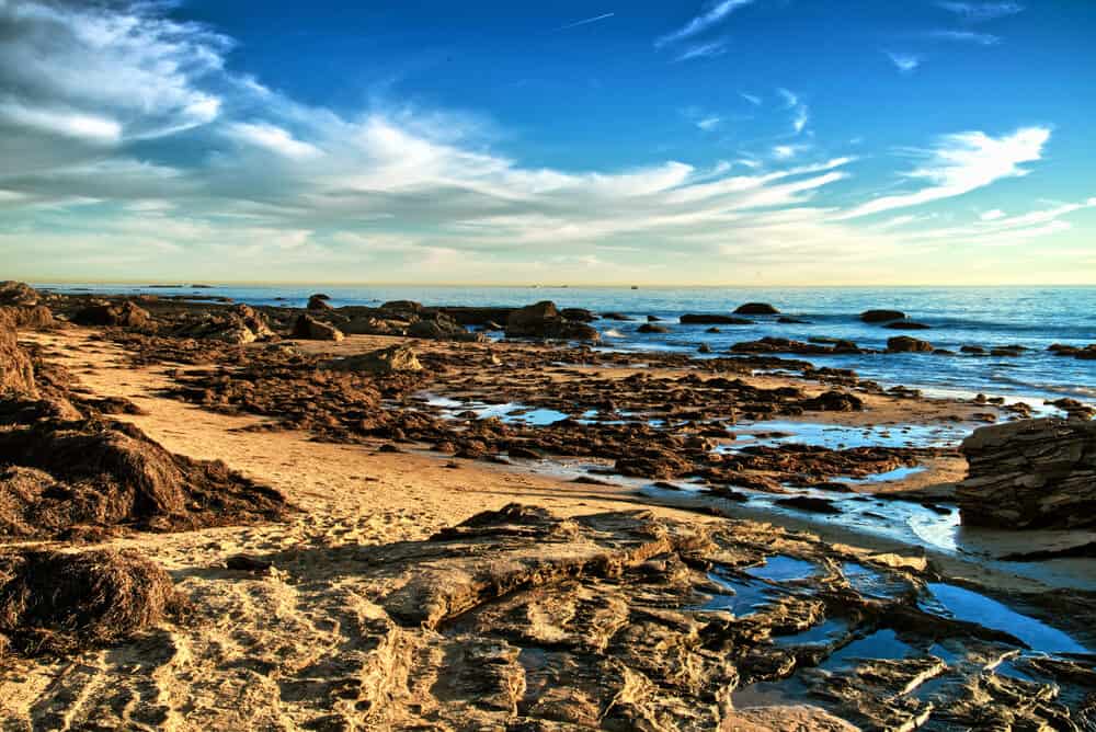 The rocky shore on the beach of Crystal Cove State Park, where rock formations have formed small tide pools where ocean water collects, on a late afternoon sunny day.