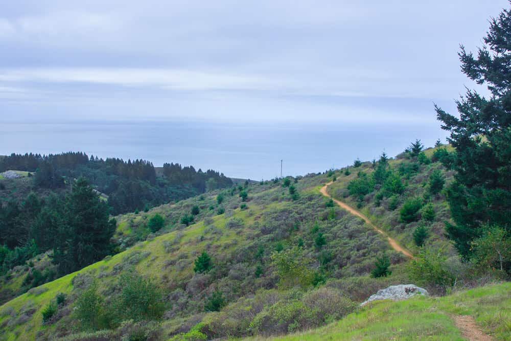 A trail leading away from Muir Woods towards Stinson Beach on an overcast day with green hills and foliage