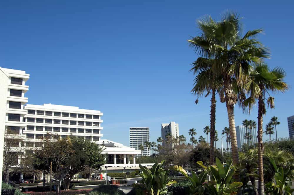 White buildings in the Fashion Island area of Newport Beach, next to palm trees and a sunny sky.